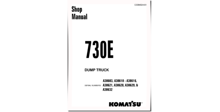 730E (SN: A30603; A30610-30616; A30621; A30628-30629; A30632-30632) Electric Dump Trucks Workshop Manual (CEBM024401)
