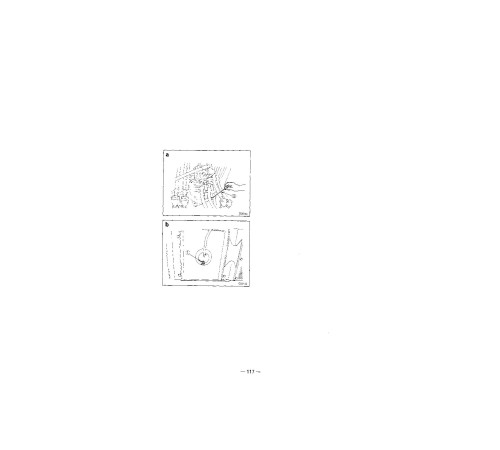 Komatsu PC200-5, PC200LC-5, PC220-5 and PC220LC-5 Crawler Excavators (Japan) Operate and Maintenance manual (SEAD02050501) Komatsu PC200-5, PC200LC-5, PC220-5 and PC220LC-5 Crawler Excavators (Japan) Operate and Maintenance manual (SEAD02050501)