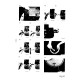 Komatsu PC20-6 (SN:24001-), PC30-6 (SN:10001-) and PC40-6 (SN:10001-) Crawler Excavators (Japan) Workshop Manual (SEBM020R0604)