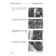 Komatsu WB140PS-2 and WB150PS-2 Backhoe Loaders (Italy) Workshop Manual (WEBD004700)